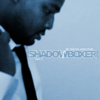 Shadowboxer, Pt. 2 by Mad Maestro Productions