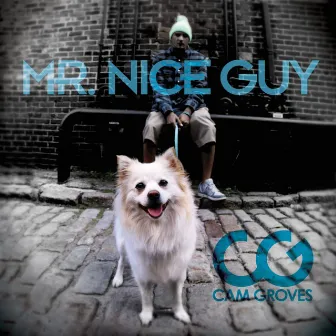 Mr. Nice Guy by Cam Groves