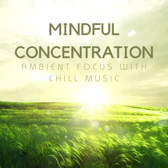 Mindful Concentration: Ambient Focus with Chill Music