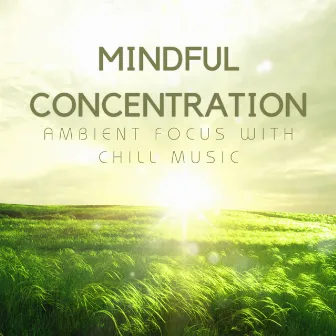 Mindful Concentration: Ambient Focus with Chill Music by arimindful