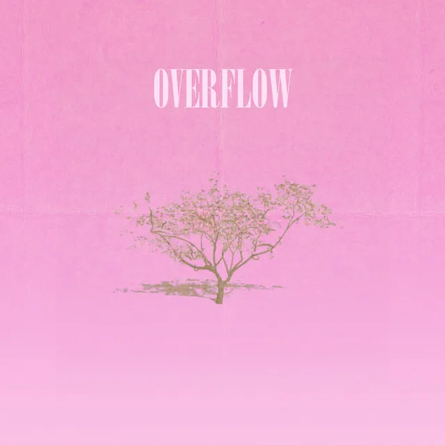 OVERFLOW