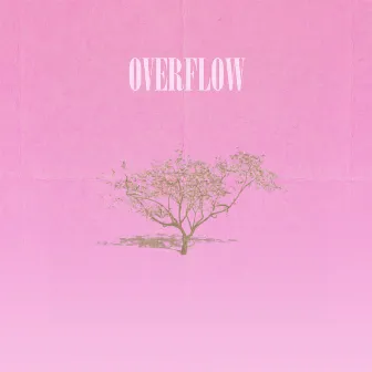 OVERFLOW by SNNC