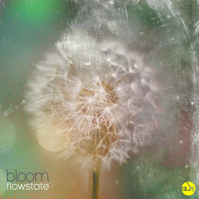 Flowstate