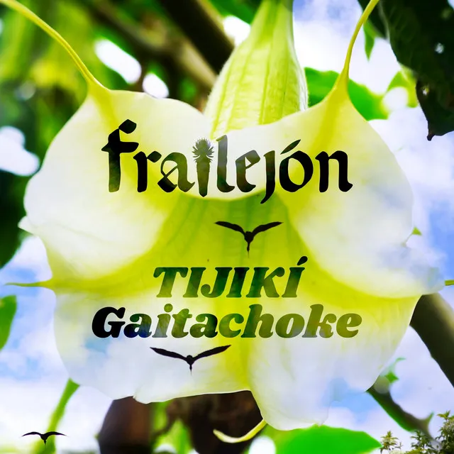 Tijikí Gaitachoke