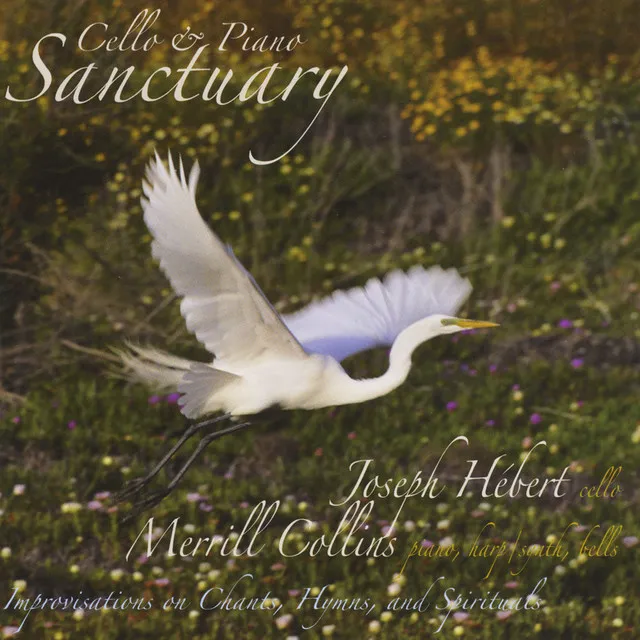 Cello & Piano Sanctuary (feat. Joseph Hebert)