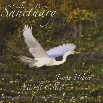 Cello & Piano Sanctuary (feat. Joseph Hebert) by Merrill Collins