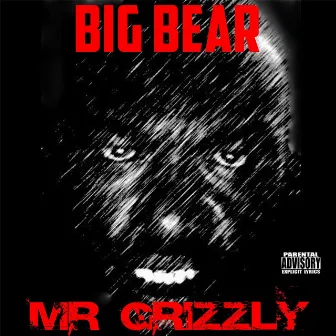 Mr. Grizzly by Big Bear