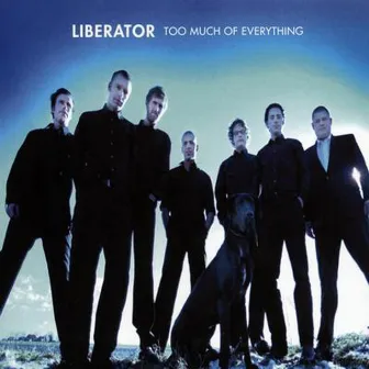 Too Much Of Everything by Liberator