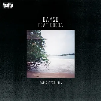 Paris c'est loin by Damso