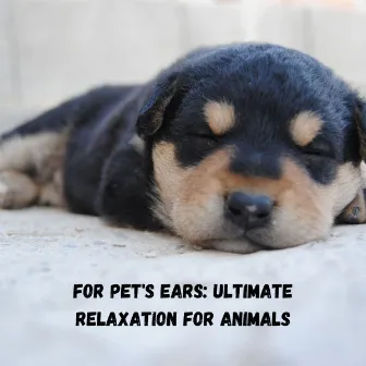 For Pet's Ears: Ultimate Relaxation for Animals by Dogs music