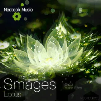 Lotus by Smages