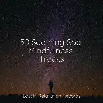 50 Soothing Spa Mindfulness Tracks by Unknown Artist