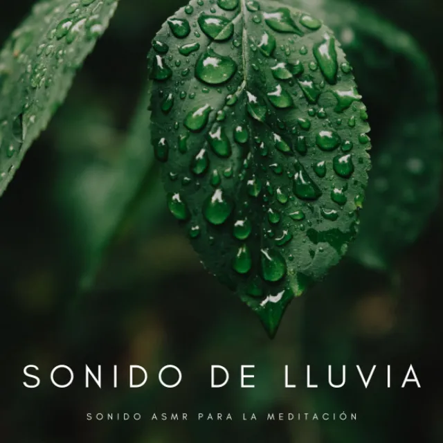 Ruido Blanco De Lluvia