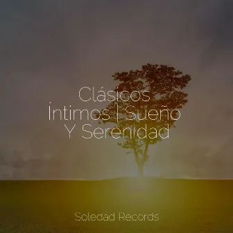 Clásicos Íntimos | Sueño Y Serenidad by Meditaciónessa