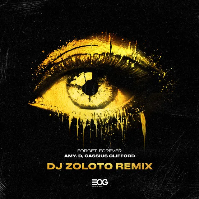 Forget Forever (DJ ZOLOTO Remix)