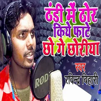 Thandi Me Dhor Kiye Fhate Chho Ge Chhori by Ravindra Bihari