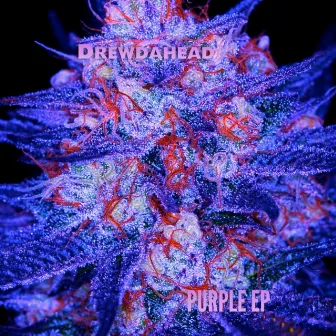 Purple EP by Drewdahead