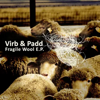 Fragile Wool EP by Virb & Padd