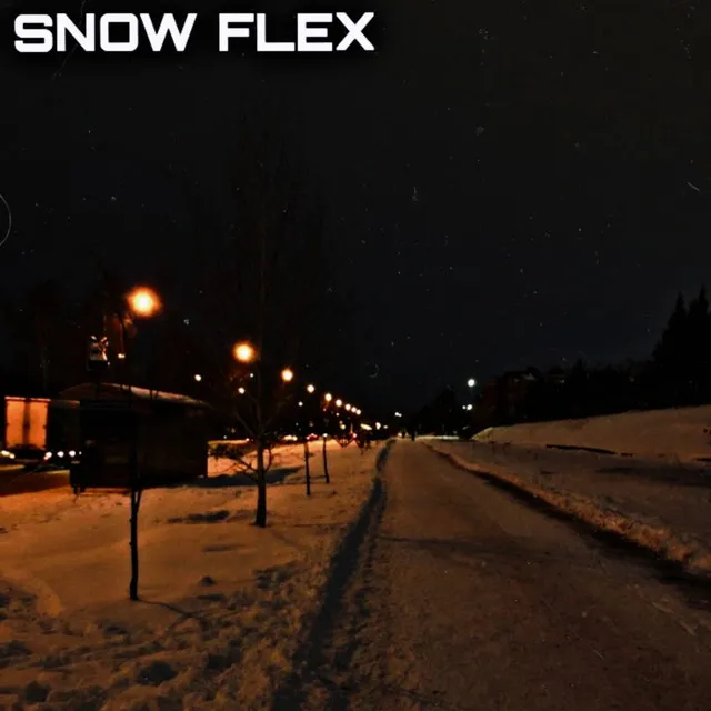 SNOW FLEX