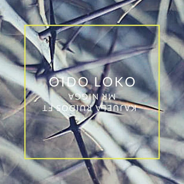 Oido Loko