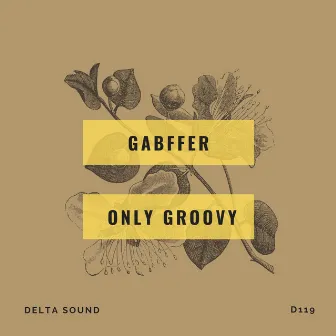 Only Groovy by GABFFER