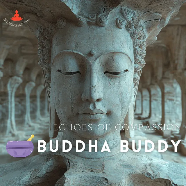 Buddha Buddy, Echoes of Compassion