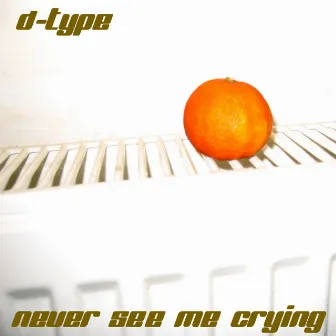 Never See Me Crying by D-Type