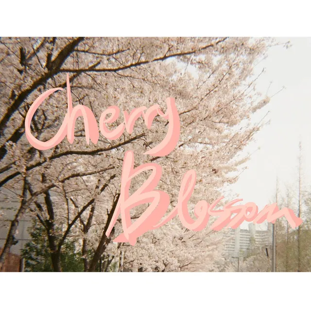 Cherry Blossom