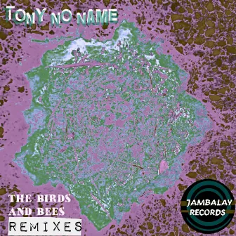 The Birds and Bees (Remix) by Tony No Name