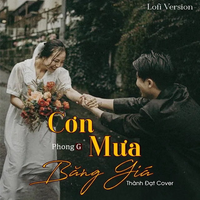 Cơn Mưa Băng Giá - Lofi