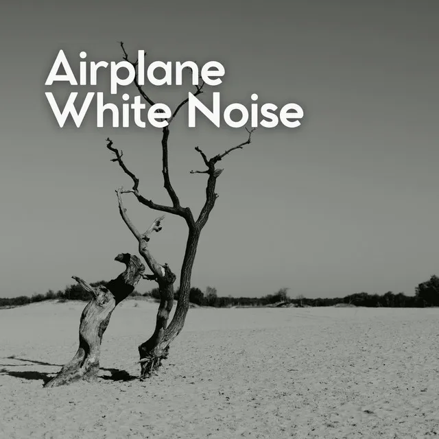 Airplane White Noise