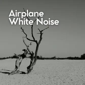 Airplane White Noise by Airplane White Noise