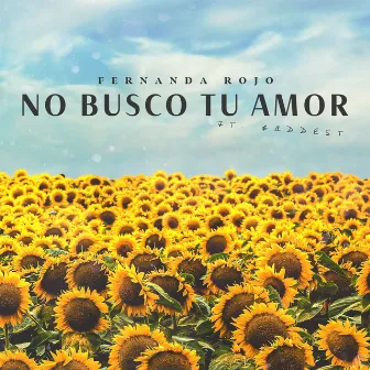 No Busco Tu Amor by Fernanda Rojo