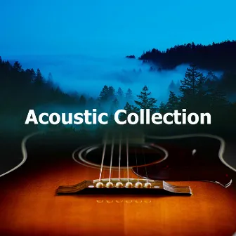 Acoustic Collection by Acoustic Covers Culture