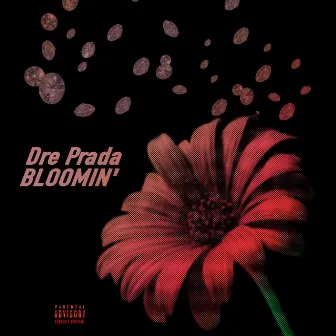 Bloomin' by Dre Prada