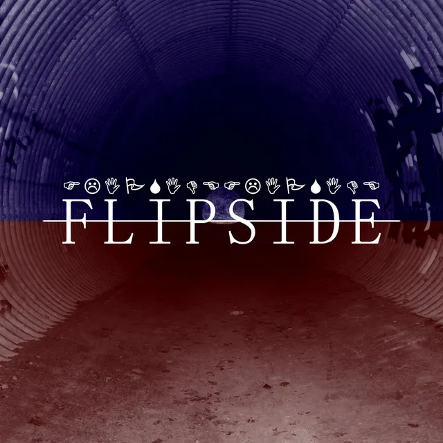 Flipside