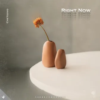 Right Now by D.V.K RECORDS