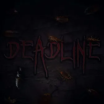 DEADLINE by 