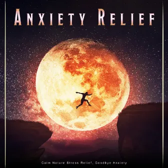 Anxiety Relief: Calm Nature Stress Relief, Goodbye Anxiety by Piano and Ocean Waves