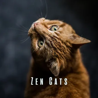 Zen Cats: Meditative Piano Sounds for Peaceful Kitties by Piano Music For Quiet Moments