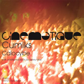 Calocybe by Cumiks