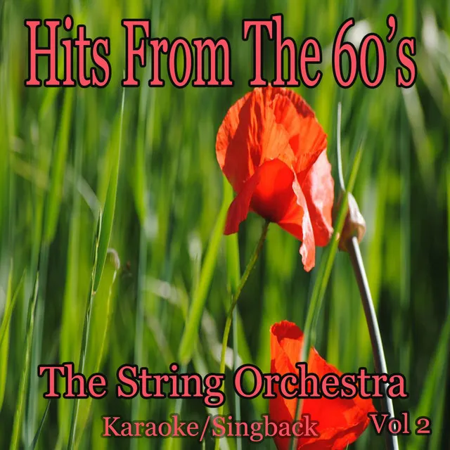 Hits from the 60's/Karaoke/Singback Vol. 2