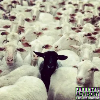 The Black Sheep by Rell V