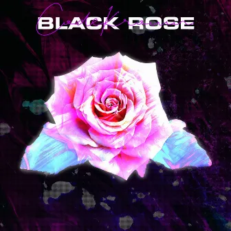 Black Rose by 