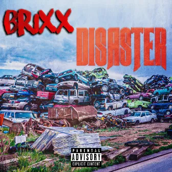 Disaster by Brixx