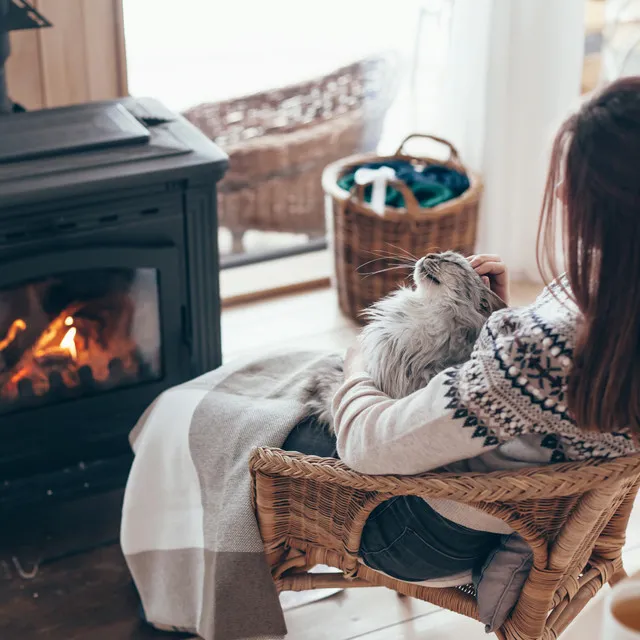 Fireside Tunes for Whiskers