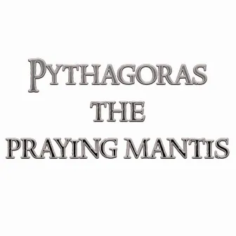 Hear My Prayer by Pythagoras the Praying Mantis