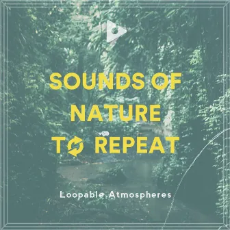 Sounds Of Nature To Repeat by Nature Sounds Artists