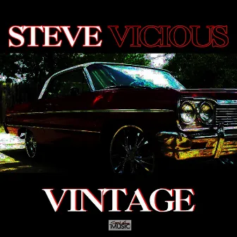 Vintage by Steve Vicious