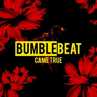 Came True by Bumblebeat